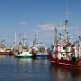 <p align=left>Le port de Rivière-au-Renard, situé près de la poissonnerie où nous nous approvisionnons en morue, crabe, crevettes (encore) et turbot. Il faut vouloir s'y rendre avec toute la construction dans ce village!